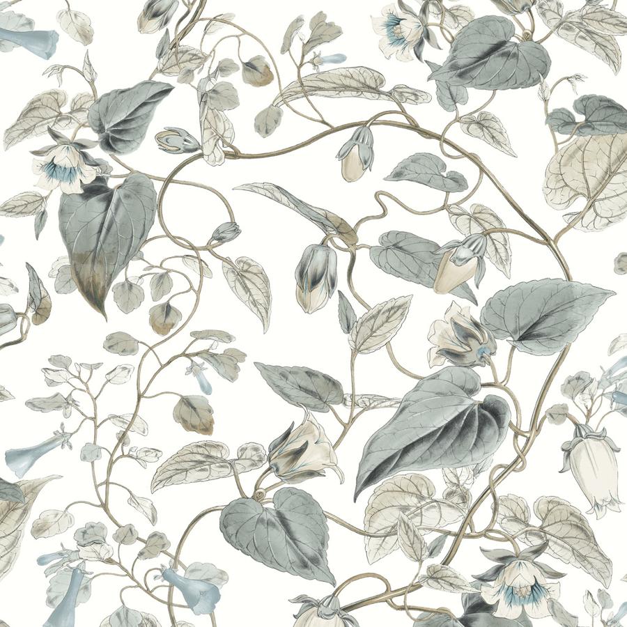 Purchase W4132-511 Kravet Design, Grey Botanical - Kravet Design Wallpaper - W4132.511.0