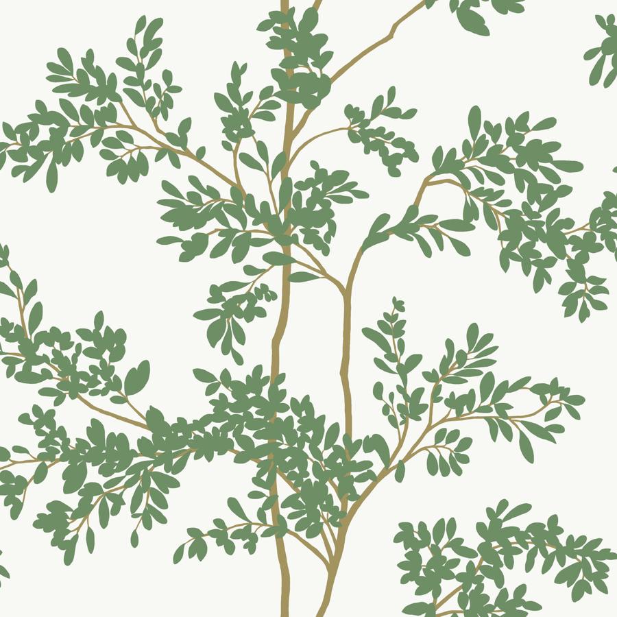Sample - W4141-3 | Kravet Design, Green Botanical - Kravet Design Wallpaper - W4141.3.0