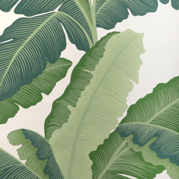 Purchase W4151-33 Isla Royal Wp, Green Botanical - Kravet Wallpaper Wallpaper - W4151.33.0