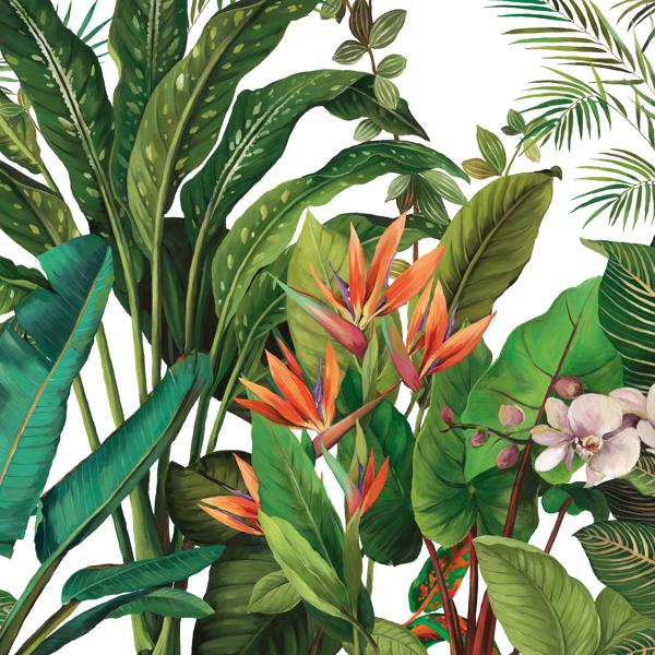 Sample - W4180-312 | Kravet Design, Green Botanical - Kravet Wallpaper - W4180.312.0