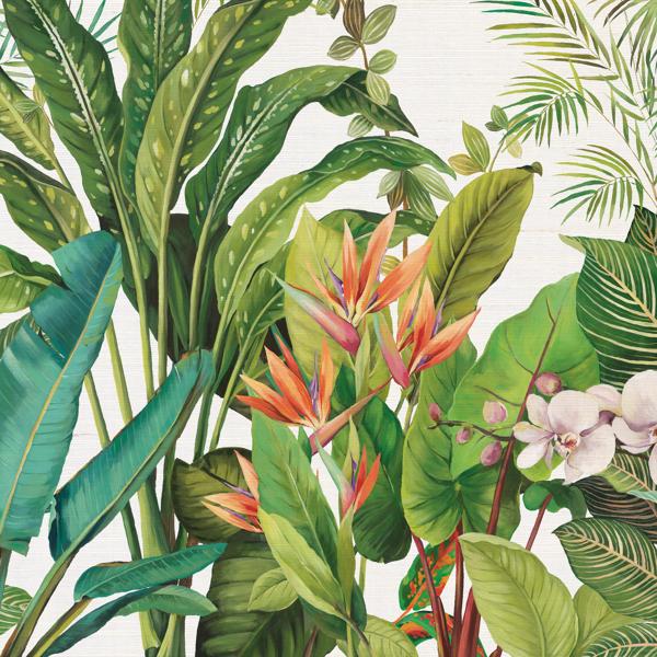 Sample - W4181-312 | Kravet Design, Green Botanical - Kravet Wallpaper - W4181.312.0