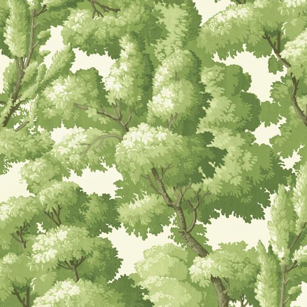 Sample - W4193-340 | Kravet Design, Green Botanical - Kravet Wallpaper - W4193.340.0