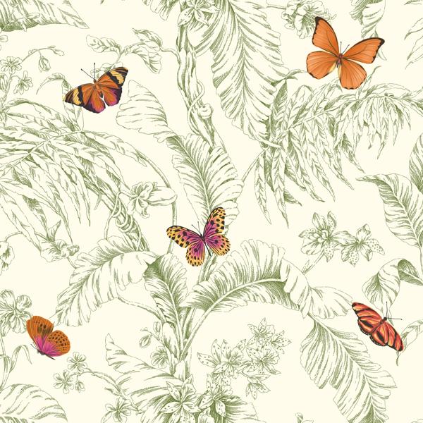 Sample - W4234-312 | Kravet Design, Green Toile - Kravet Design Wallpaper - W4234.312.0
