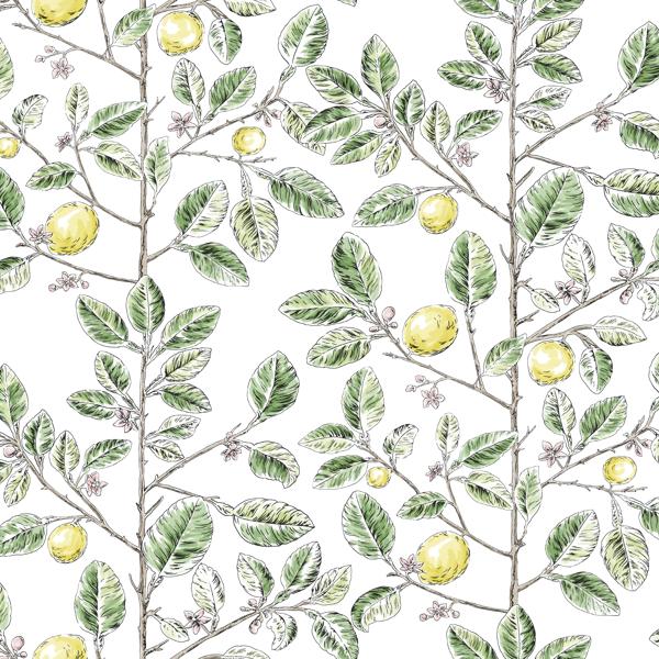 Purchase W4241-340 Kravet Design, Green Botanical - Kravet Design Wallpaper - W4241.340.0