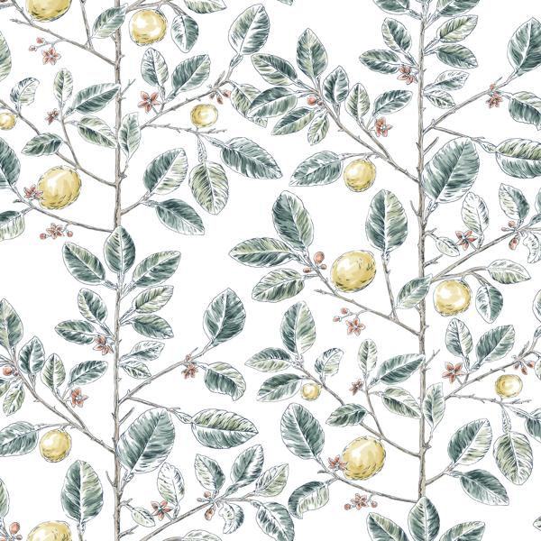 Sample - W4241-354 | Kravet Design, Green Botanical - Kravet Design Wallpaper - W4241.354.0