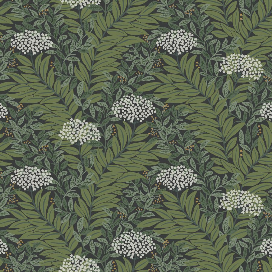 Sample - W4297-830 | Kravet Design, Black Botanical - Kravet Design Wallpaper - W4297.830.0