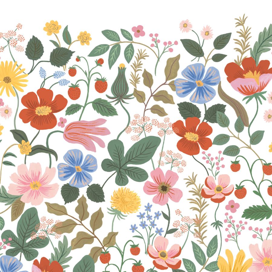 Purchase W4303-517 Kravet Design, W4303-517 Floral - Kravet Wallpaper
