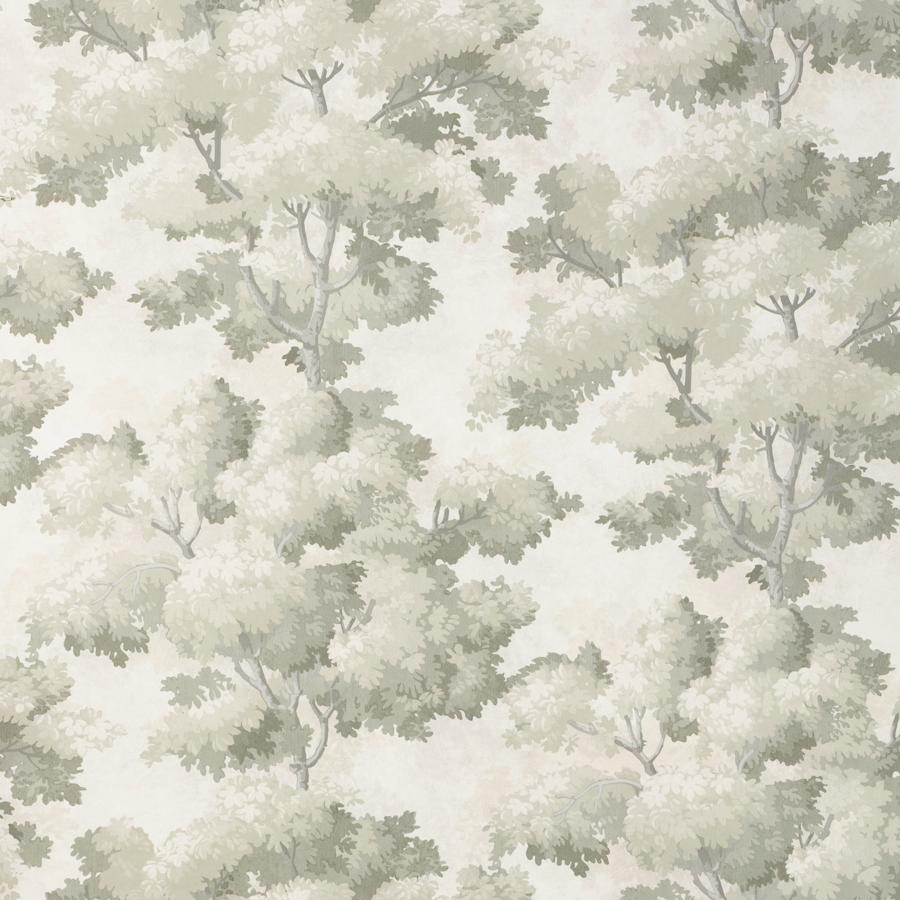 Purchase W4330-11 Kravet Design, Grey Trees - Kravet Design Wallpaper - W4330.11.0