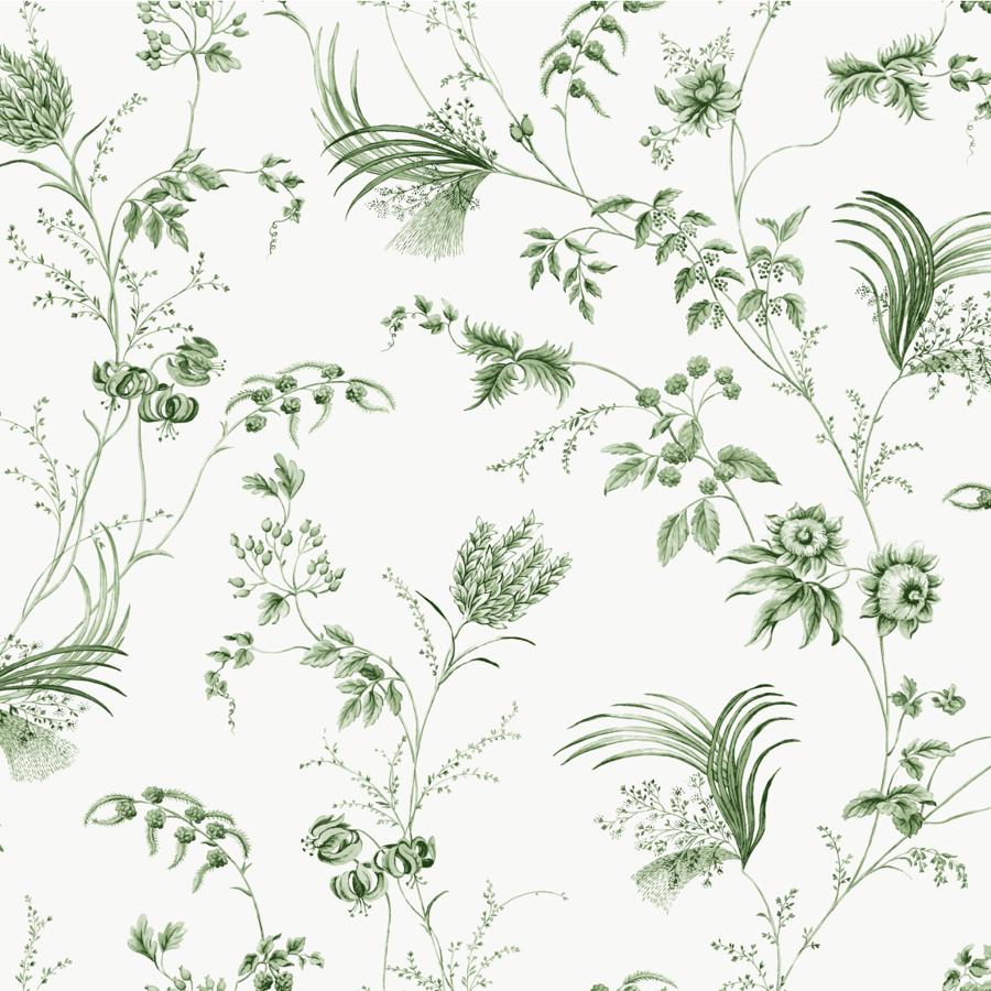 Purchase W4415-3 Kravet Design, Green Botanical - Kravet Design Wallpaper - W4415.3.0