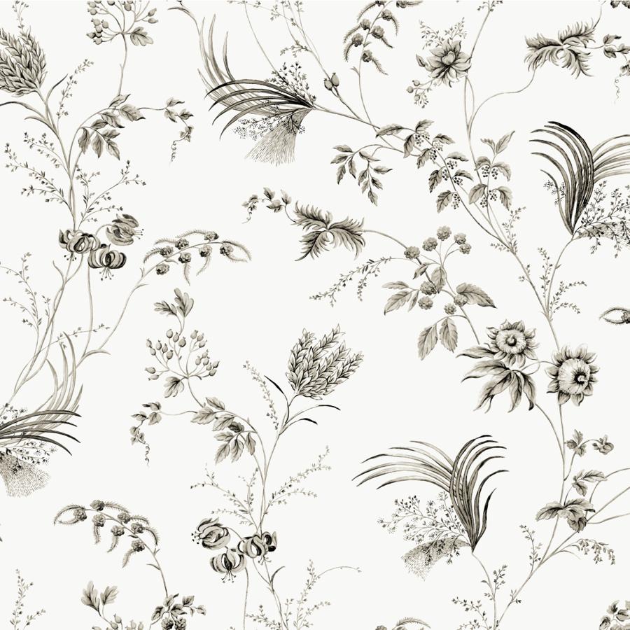Purchase W4415-8 Kravet Design, Black Botanical - Kravet Design Wallpaper - W4415.8.0