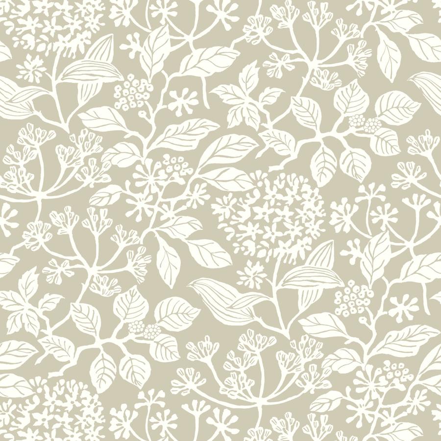 Purchase W4485-106 Kravet Design, Grey Botanical - Kravet Design Wallpaper - W4485.106.0