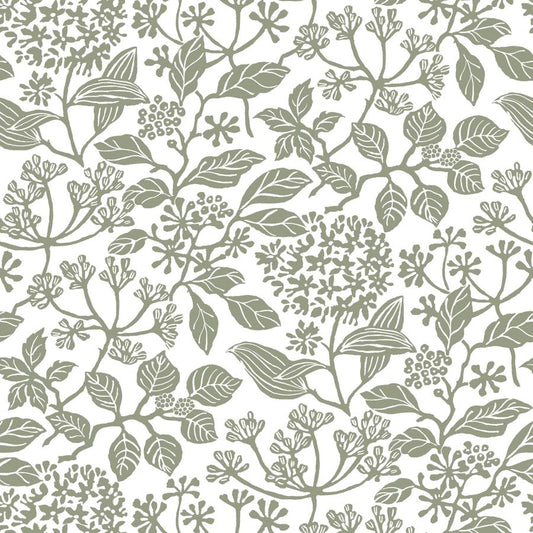 Purchase W4485-21 Kravet Design, Green Botanical - Kravet Design Wallpaper - W4485.21.0