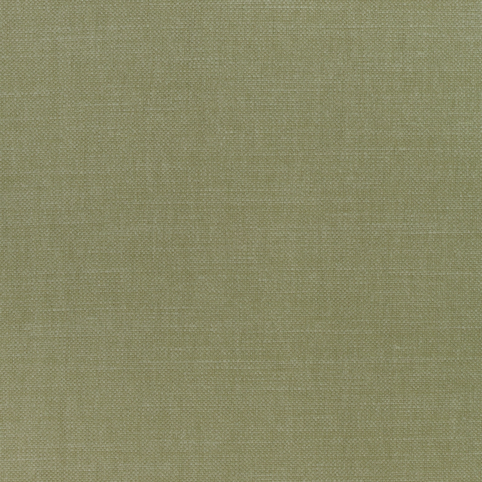 Purchase Thibaut Fabric Product# W70137 pattern name Prisma color Moss