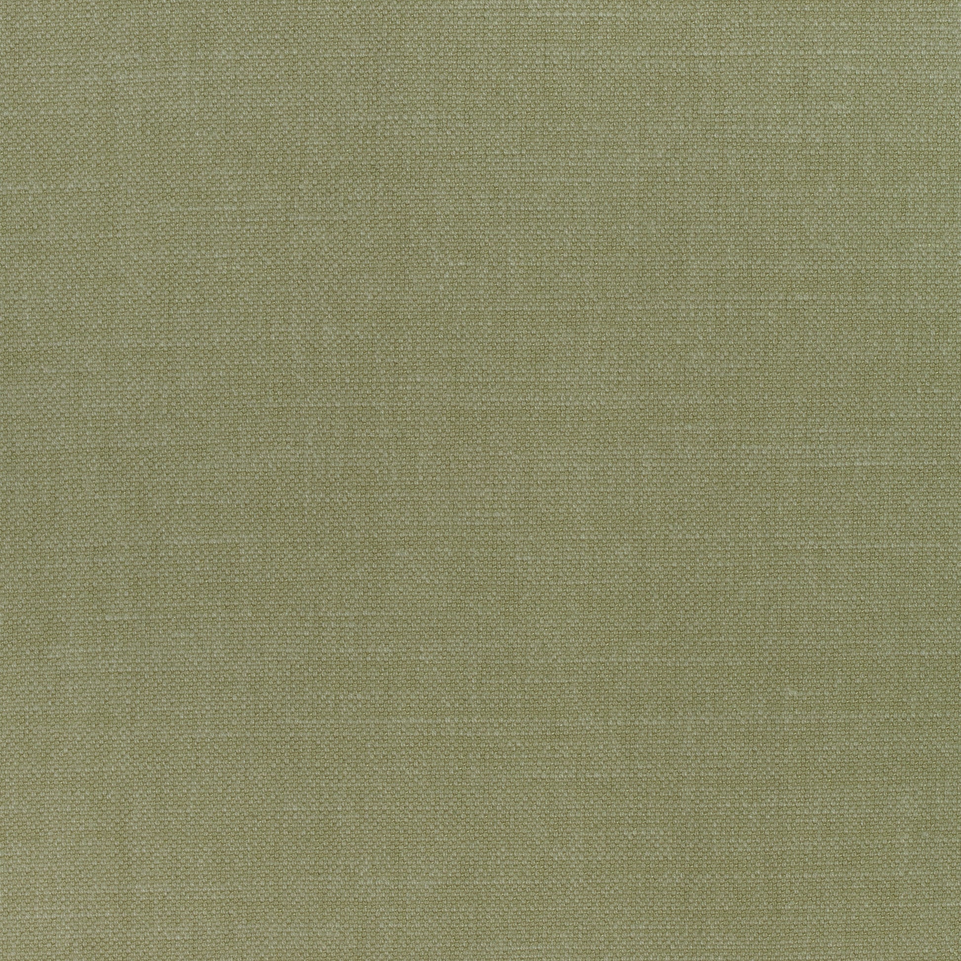 Purchase Thibaut Fabric Product# W70137 pattern name Prisma color Moss