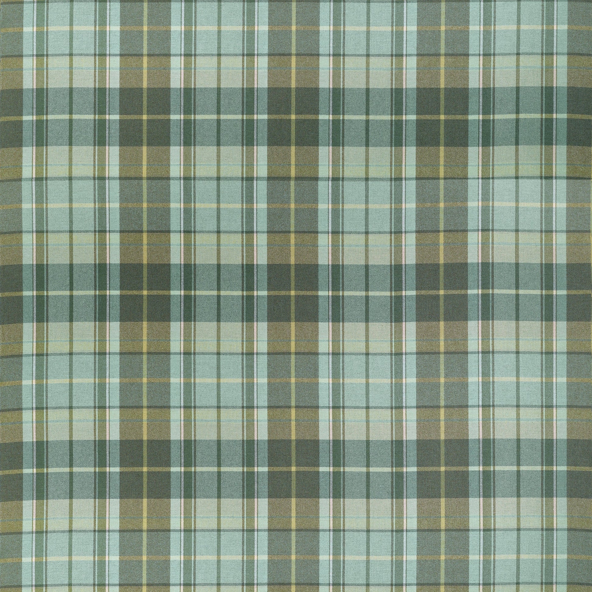 Order Thibaut Fabric Sku# W710535 Pattern Name Scot'S Plaid From The Collection Boxwood Fabric Book. 
