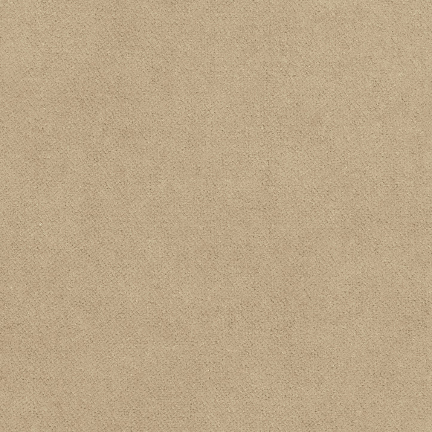 Purchase Thibaut Fabric Item# W7231 pattern name Club Velvet color Sand