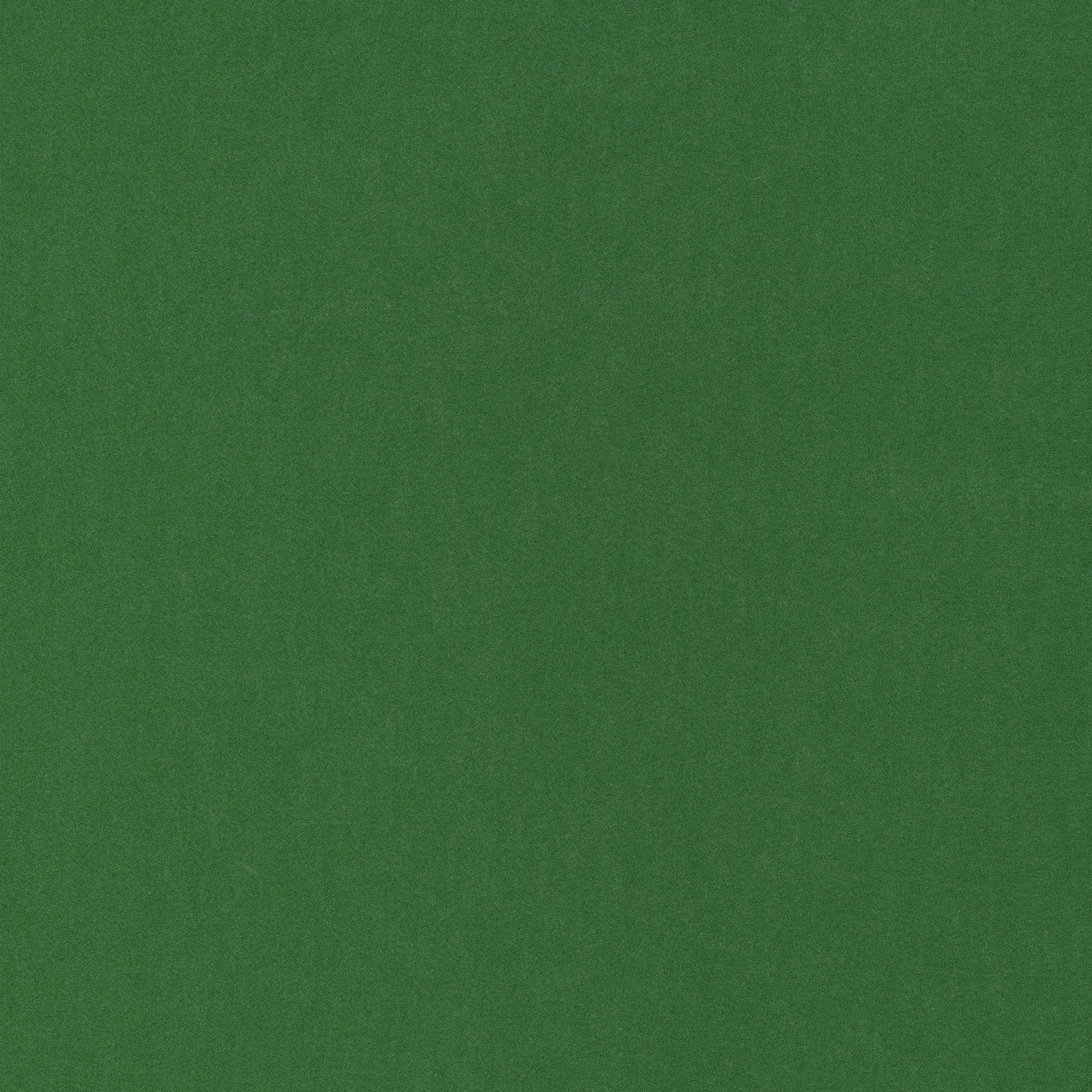 Purchase Thibaut Fabric Product# W72821 pattern name Miles Mohair Velvet color Green