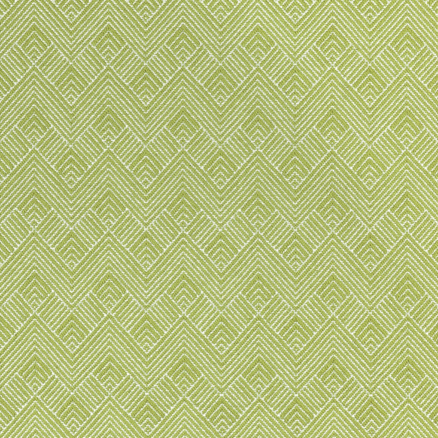 Purchase Thibaut Fabric Product# W73330 pattern name Maddox color Leaf