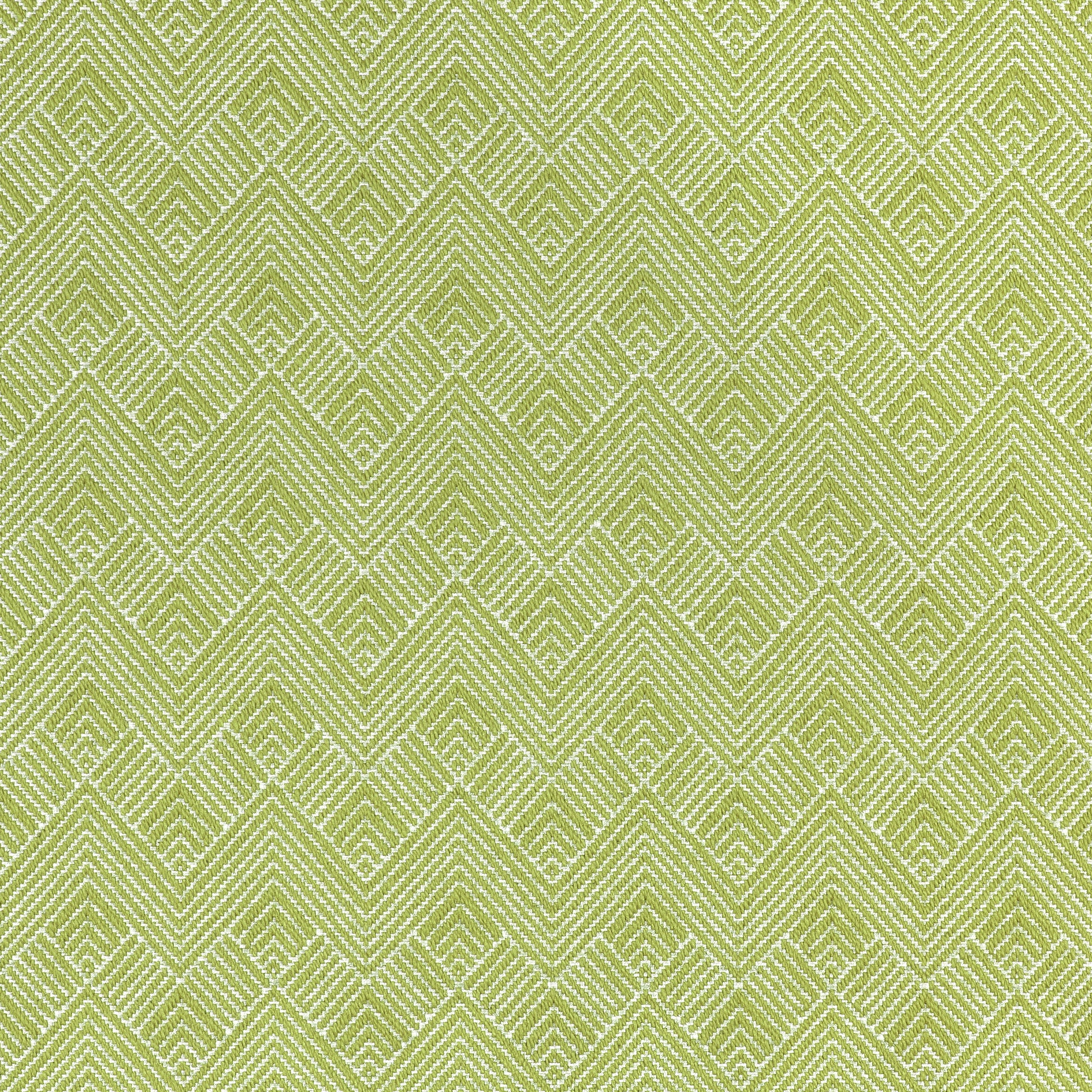 Purchase Thibaut Fabric Product# W73330 pattern name Maddox color Leaf