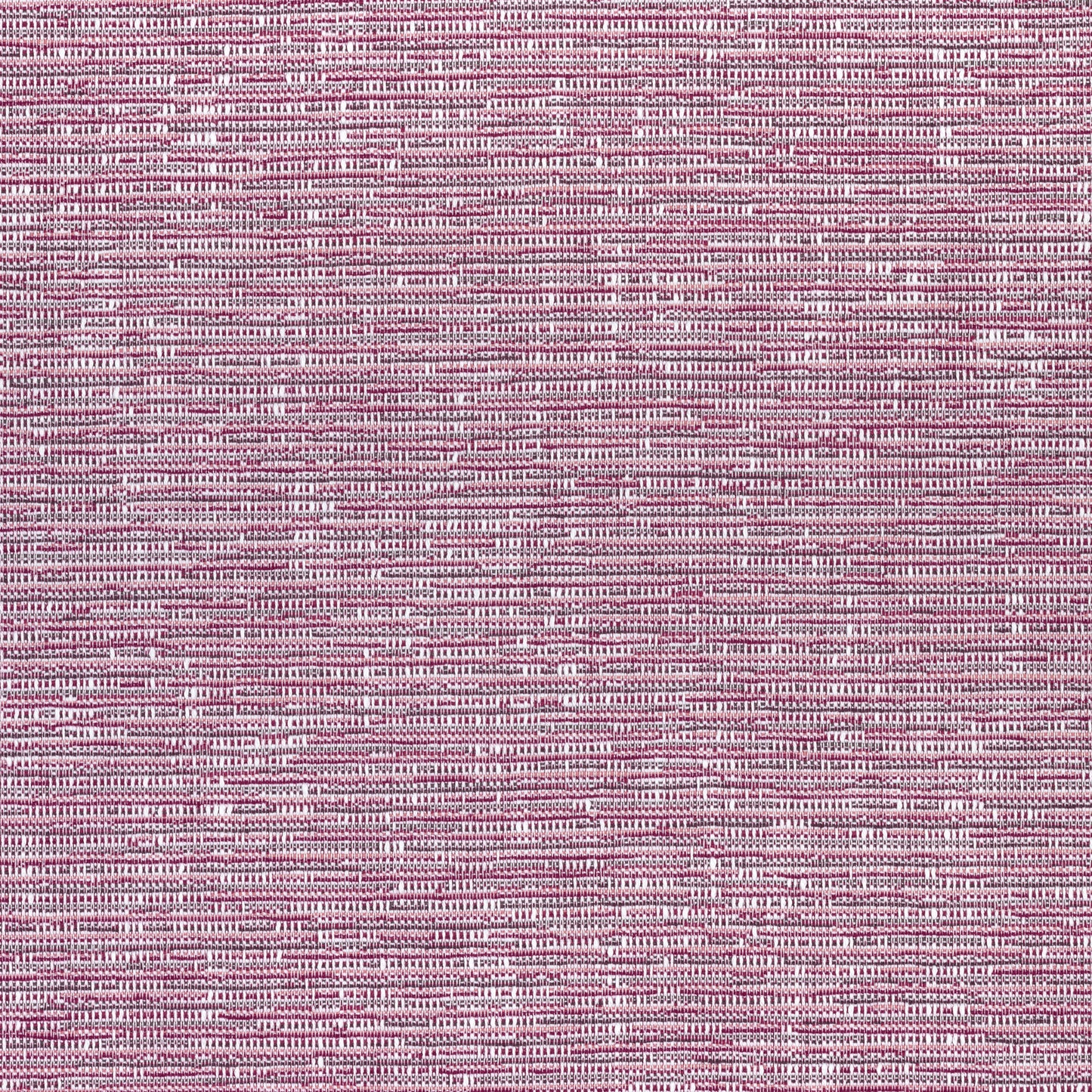 Purchase Thibaut Fabric Item# W74039 pattern name Cadence color Fuchsia