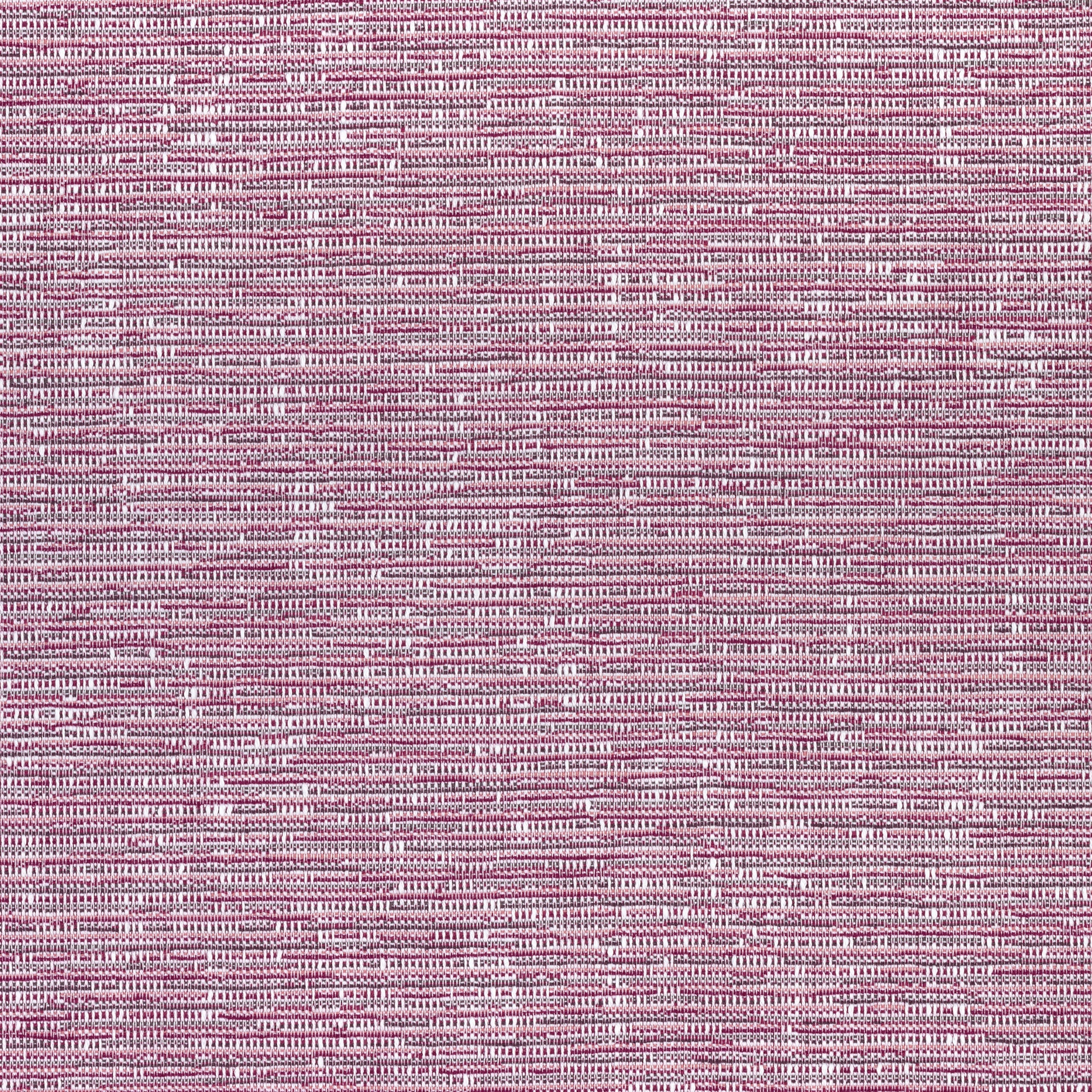 Purchase Thibaut Fabric Item# W74039 pattern name Cadence color Fuchsia