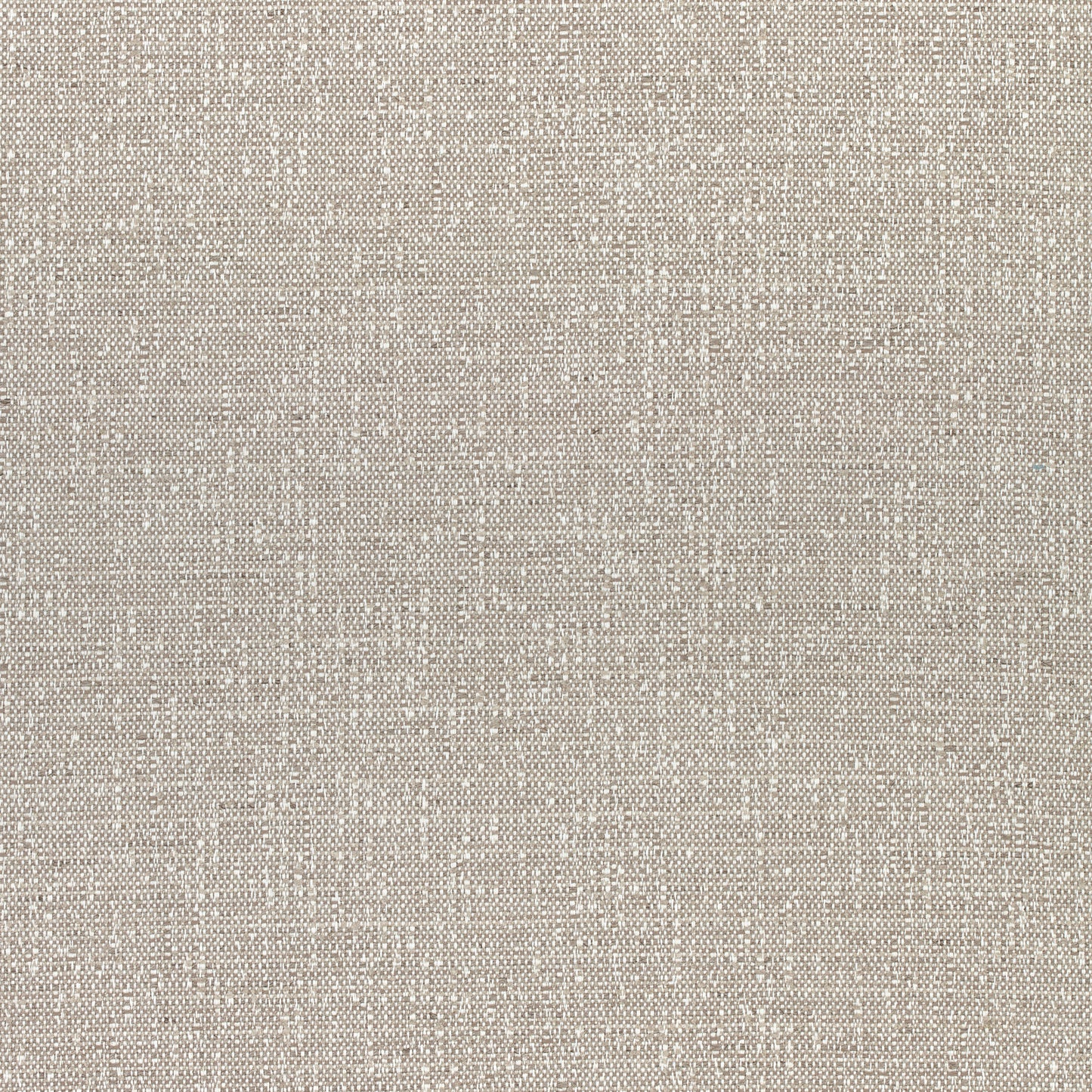 Purchase Thibaut Fabric Product W74057 pattern name Everly color Grey