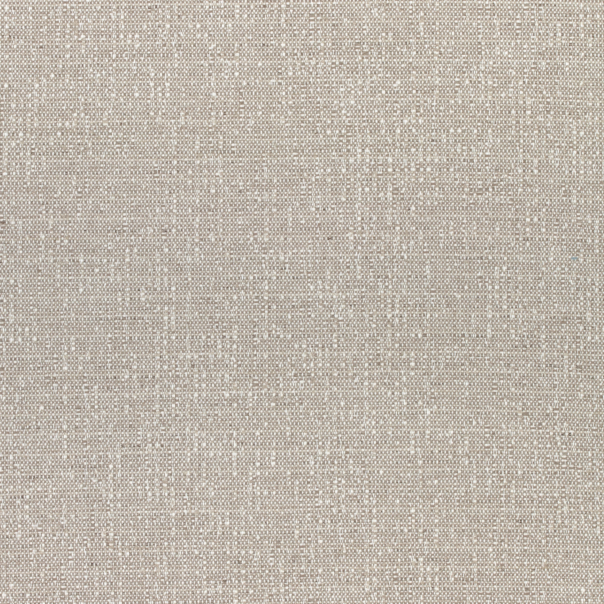 Purchase Thibaut Fabric Product W74057 pattern name Everly color Grey