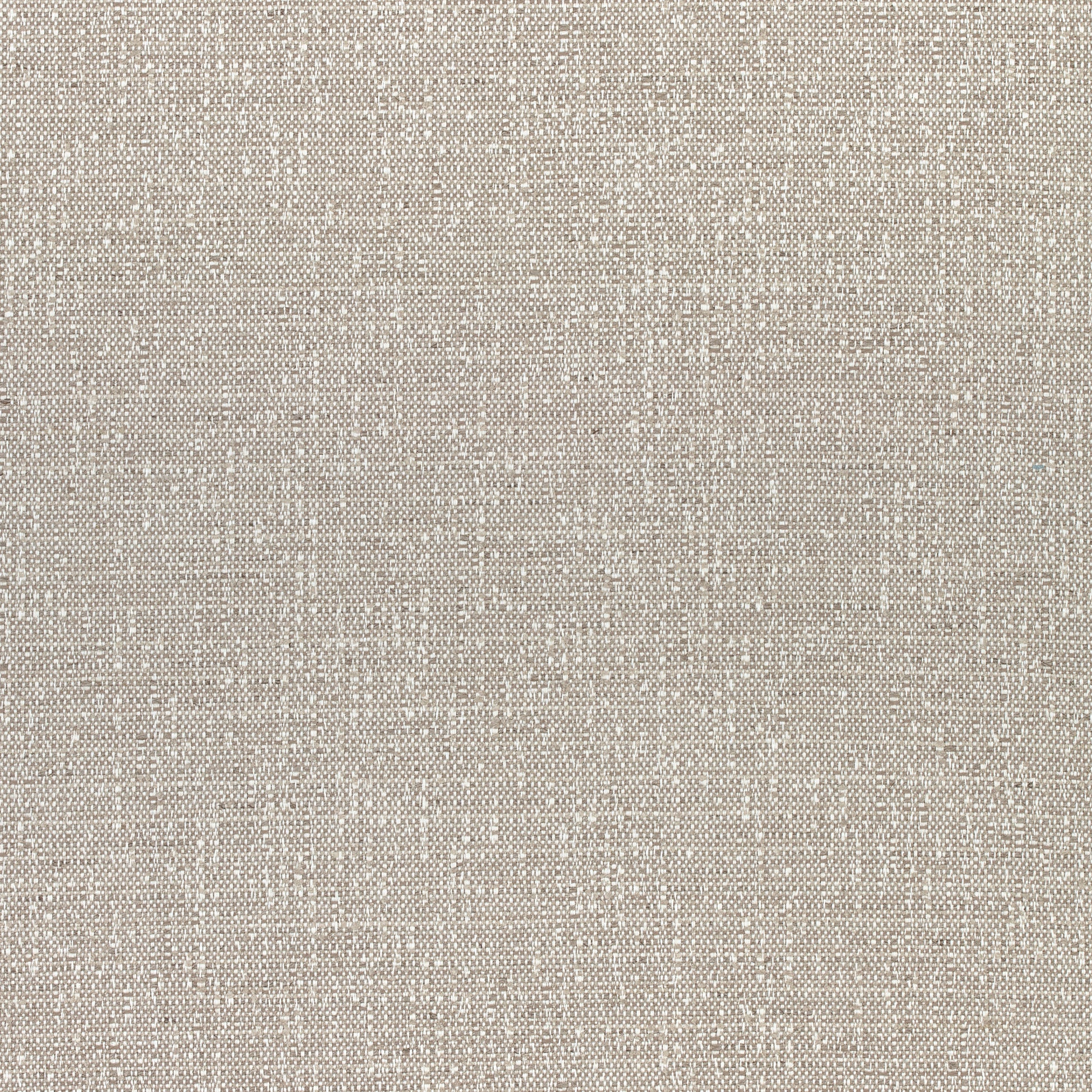 Purchase Thibaut Fabric Product W74057 pattern name Everly color Grey