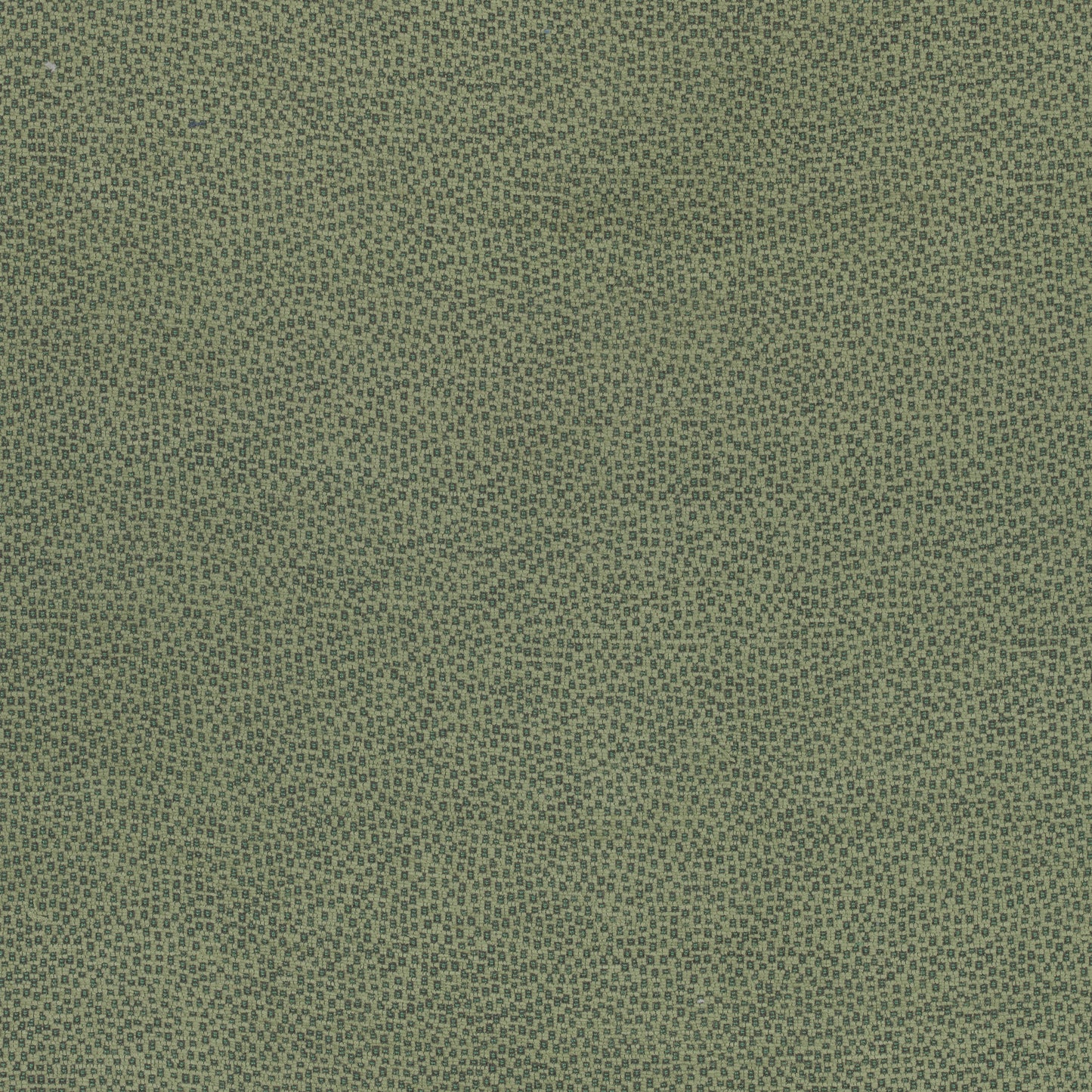 Purchase Thibaut Fabric Product W74078 pattern name Nala color Green