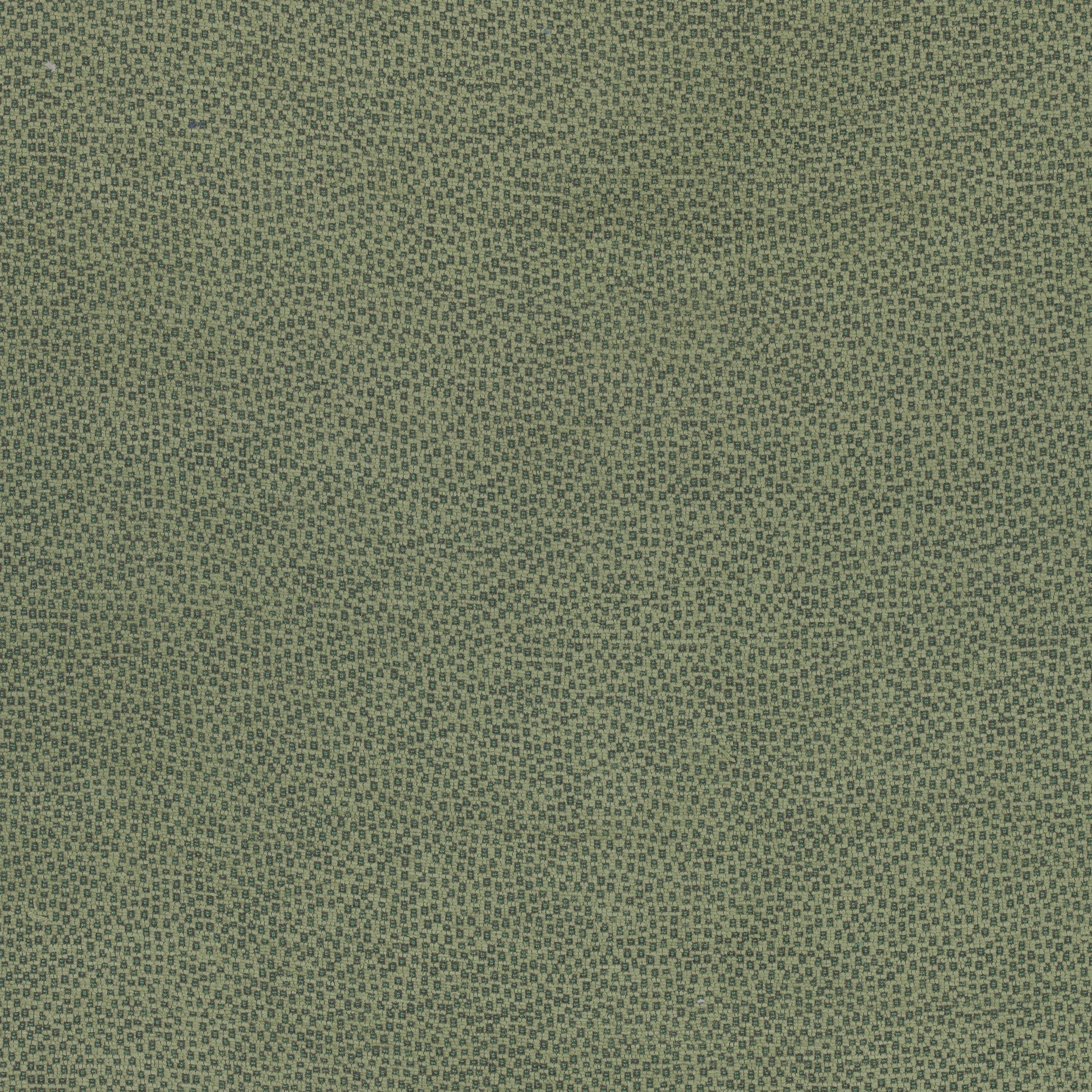 Purchase Thibaut Fabric Product W74078 pattern name Nala color Green