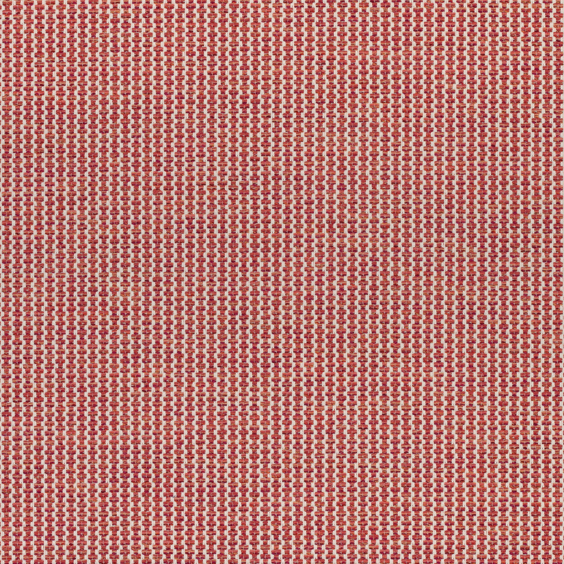 Purchase Thibaut Fabric Product# W74085 pattern name Ryder color Persimmon
