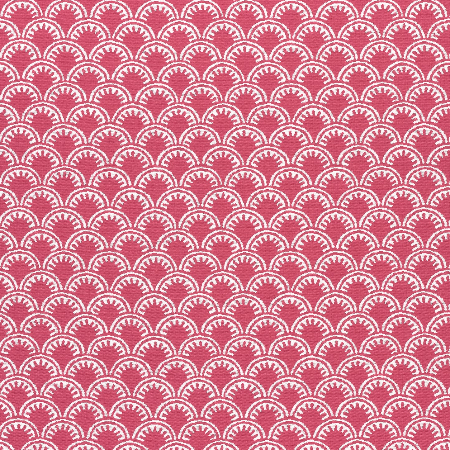 Purchase Thibaut Fabric Product# W74631 pattern name Maisie color Magenta