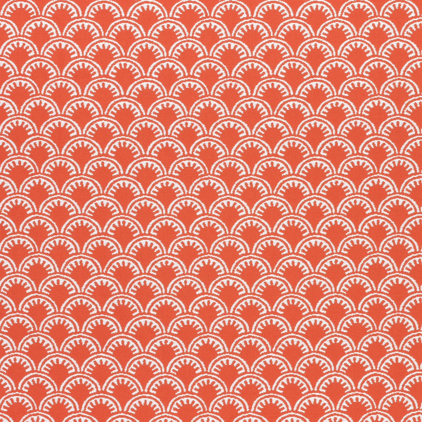 Purchase Thibaut Fabric Item W74632 pattern name Maisie color Coral