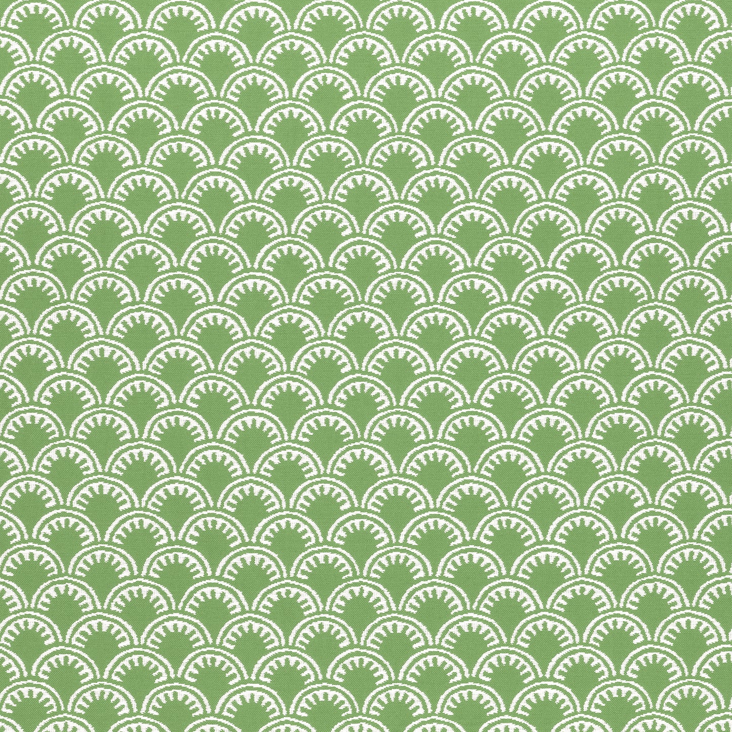 Purchase Thibaut Fabric Product# W74637 pattern name Maisie color Kelly Green