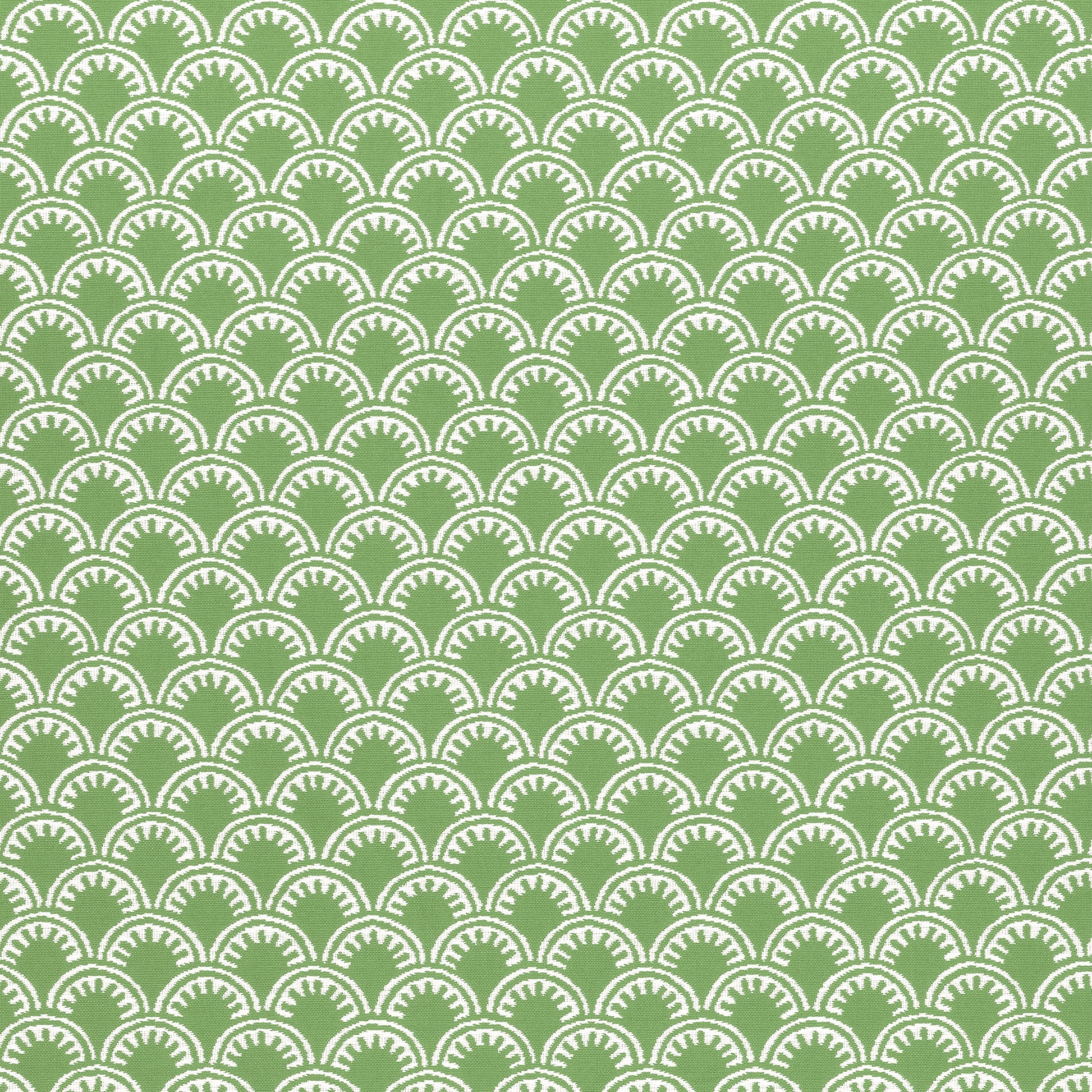 Purchase Thibaut Fabric Product# W74637 pattern name Maisie color Kelly Green