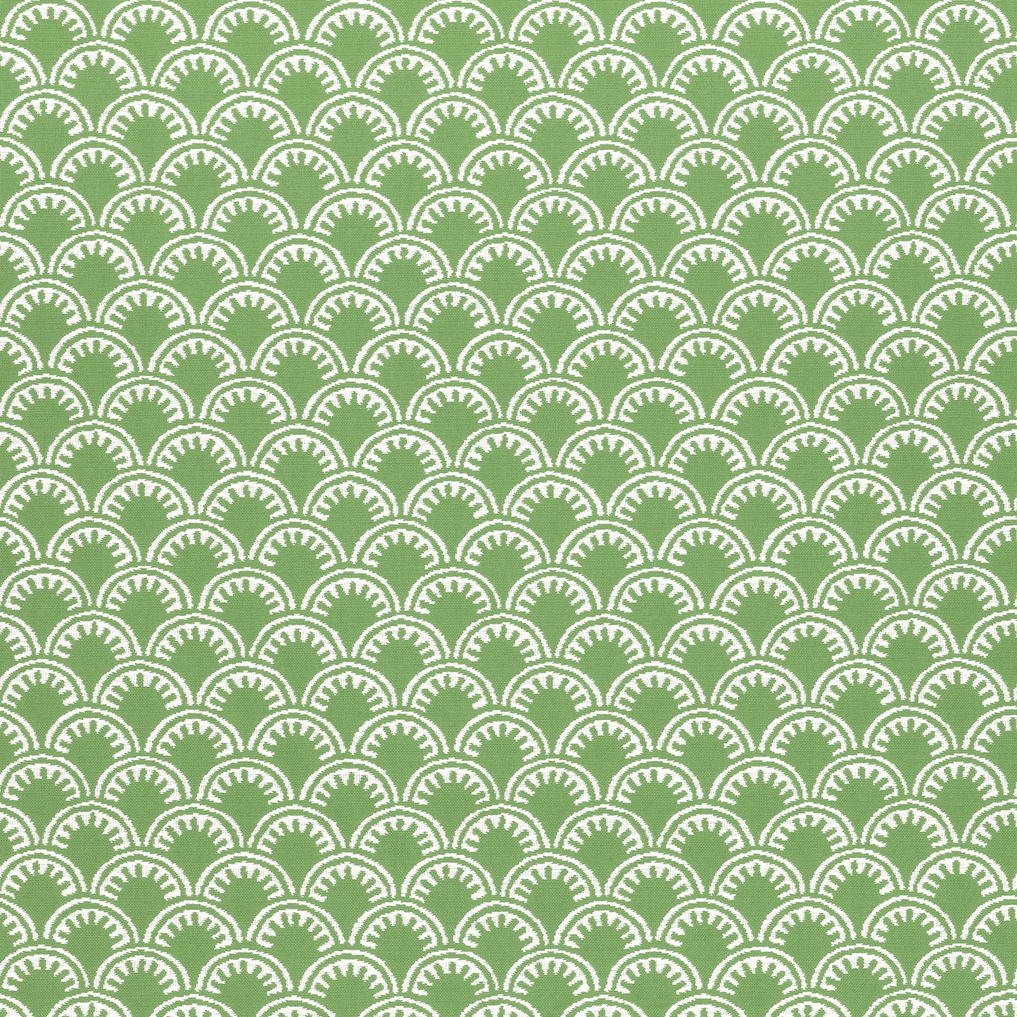 Purchase Thibaut Fabric Product# W74637 pattern name Maisie color Kelly Green