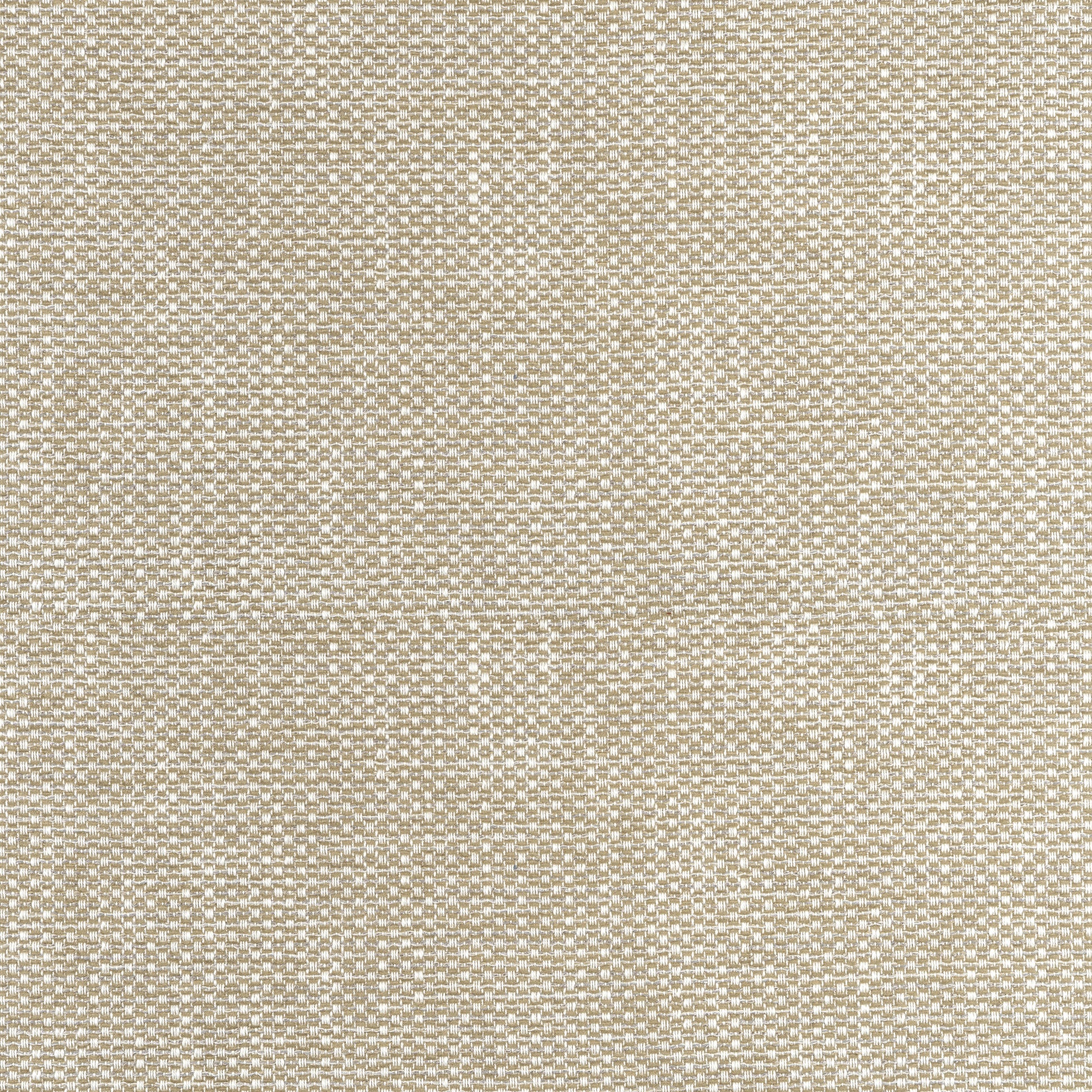 Purchase Thibaut Fabric Product W75256 pattern name Cascade color Camel