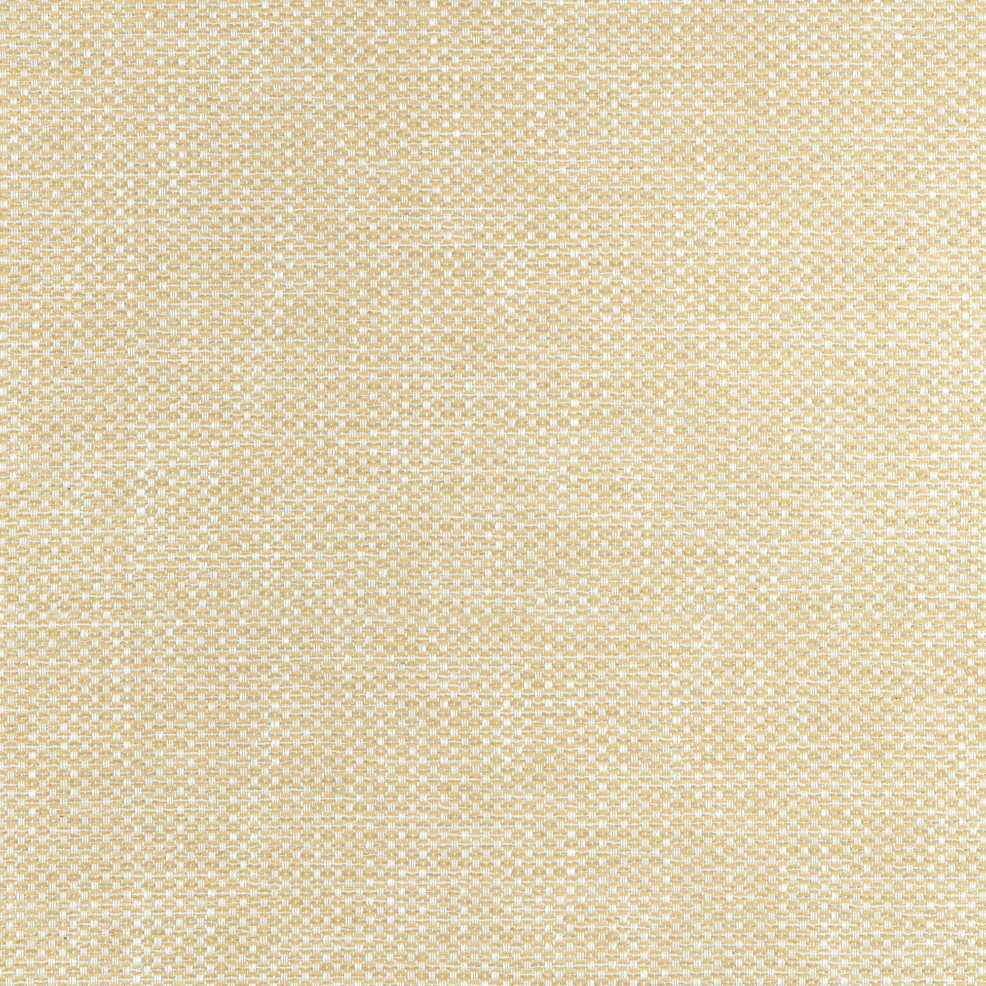 Purchase Thibaut Fabric SKU W75262 pattern name Cascade color Straw