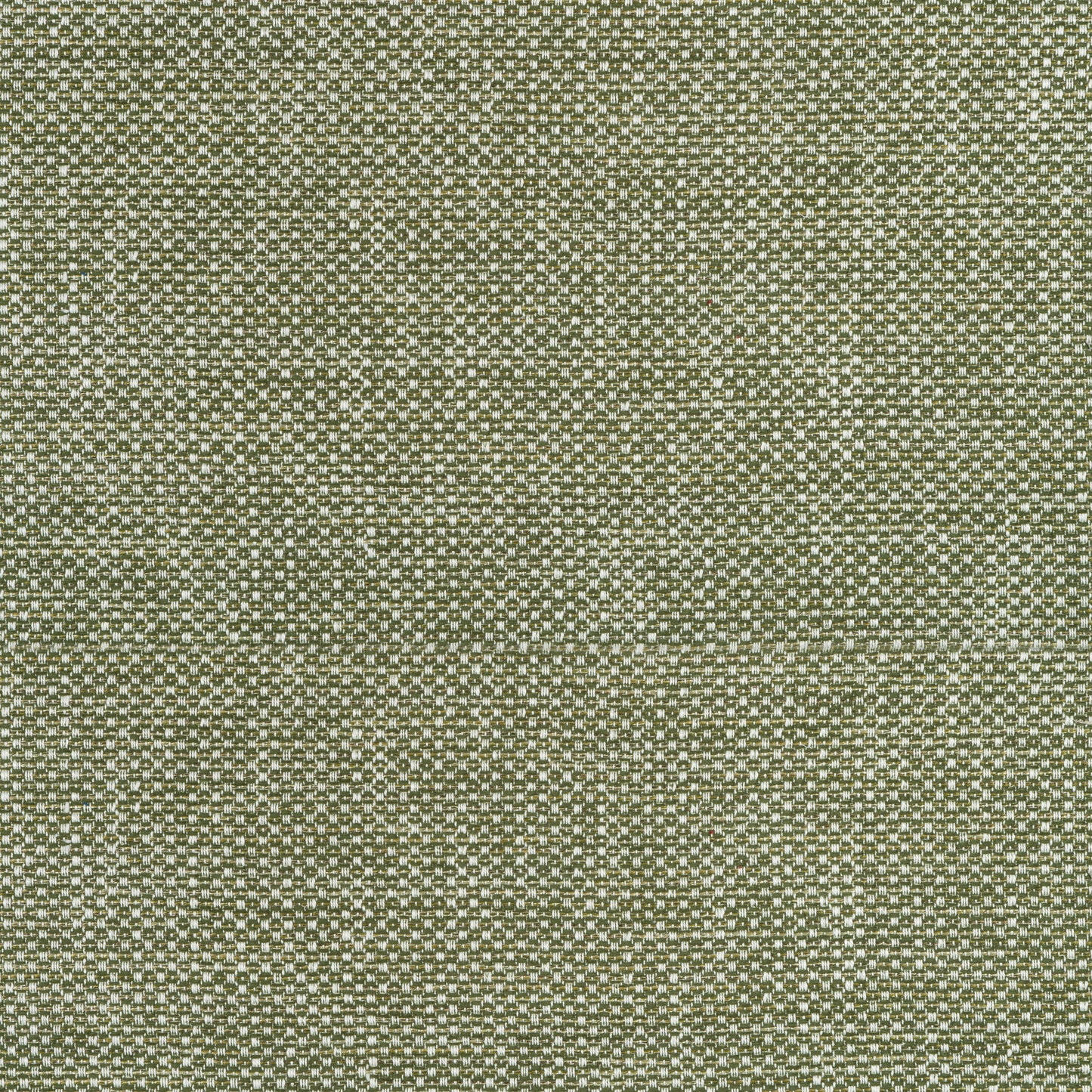 Purchase Thibaut Fabric Pattern# W75263 pattern name Cascade color Ivy