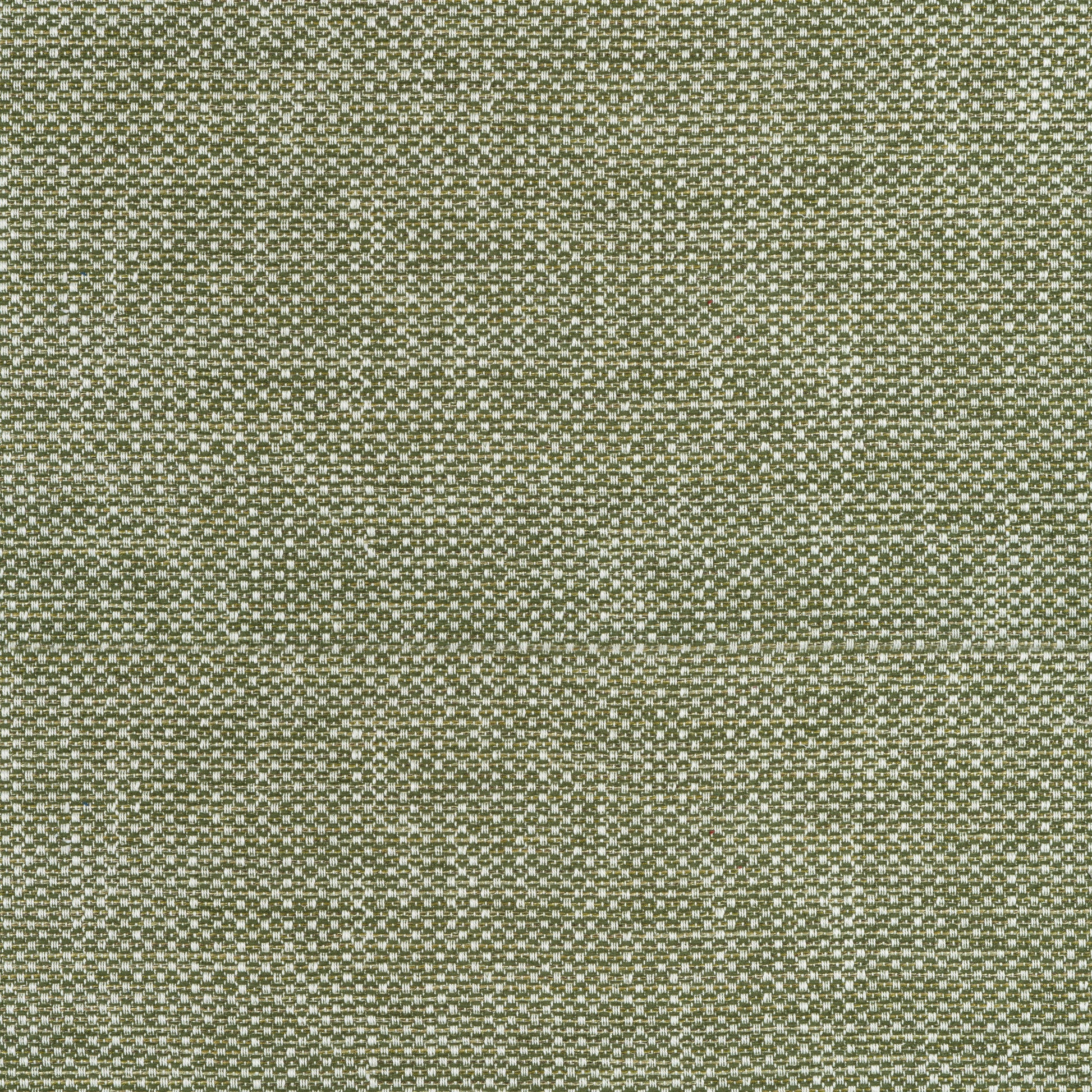 Purchase Thibaut Fabric Pattern# W75263 pattern name Cascade color Ivy