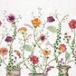 Purchase Product# W7683-01 pattern name & colorLamorran Osborne & Little Wallpaper