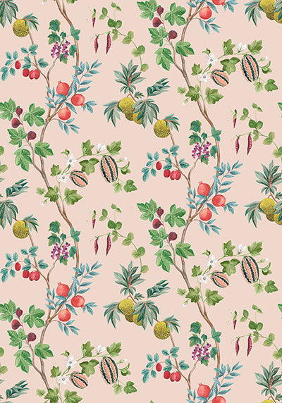 Purchase Product W7686-04 pattern name & colorOrchard Osborne & Little Wallpaper