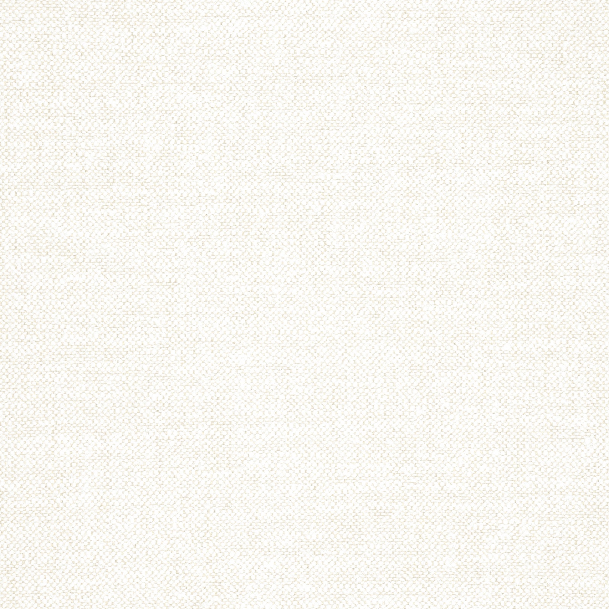 Purchase Thibaut Fabric Pattern number W77101 pattern name Sasso color Parchment