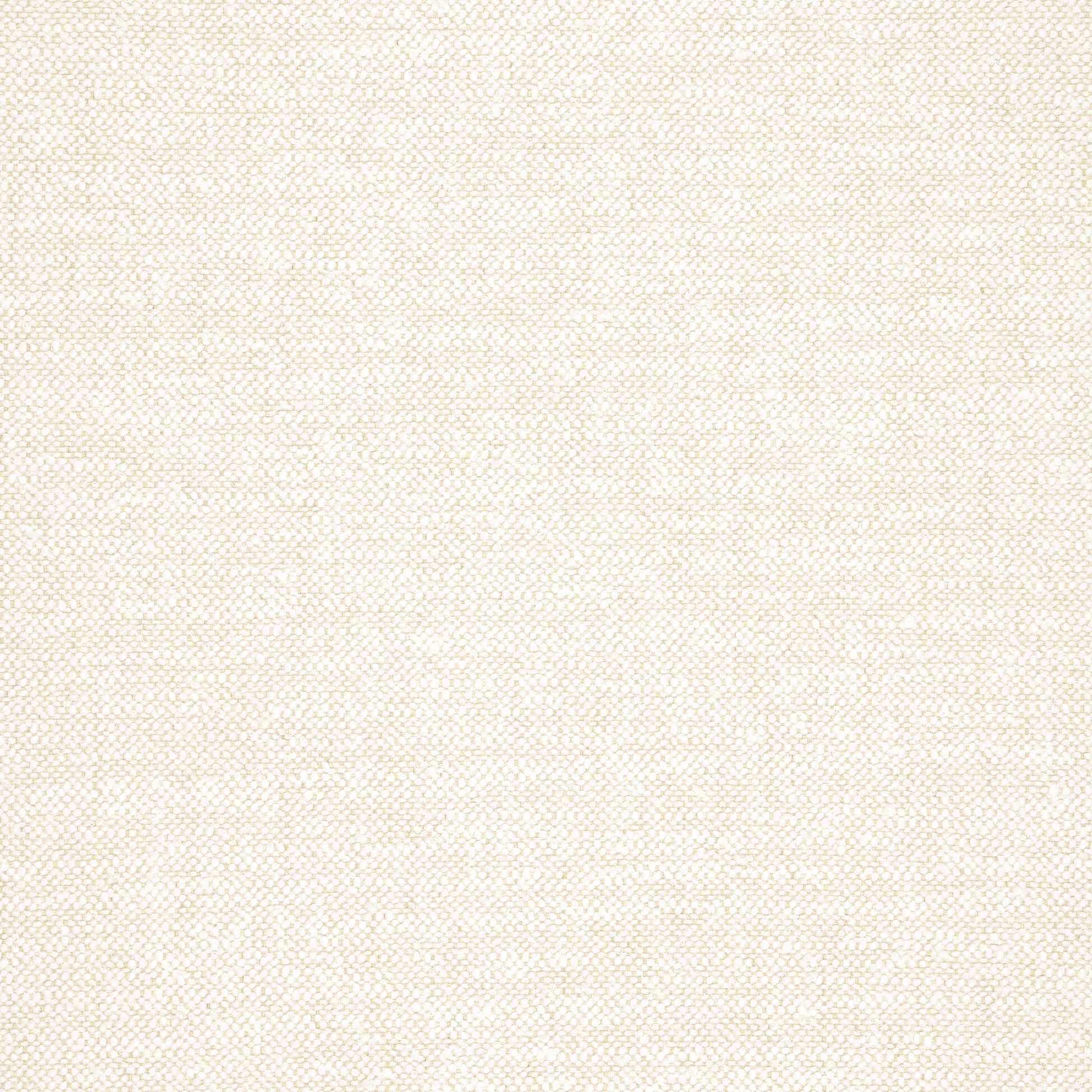 Purchase Thibaut Fabric SKU# W77102 pattern name Sasso color Sand