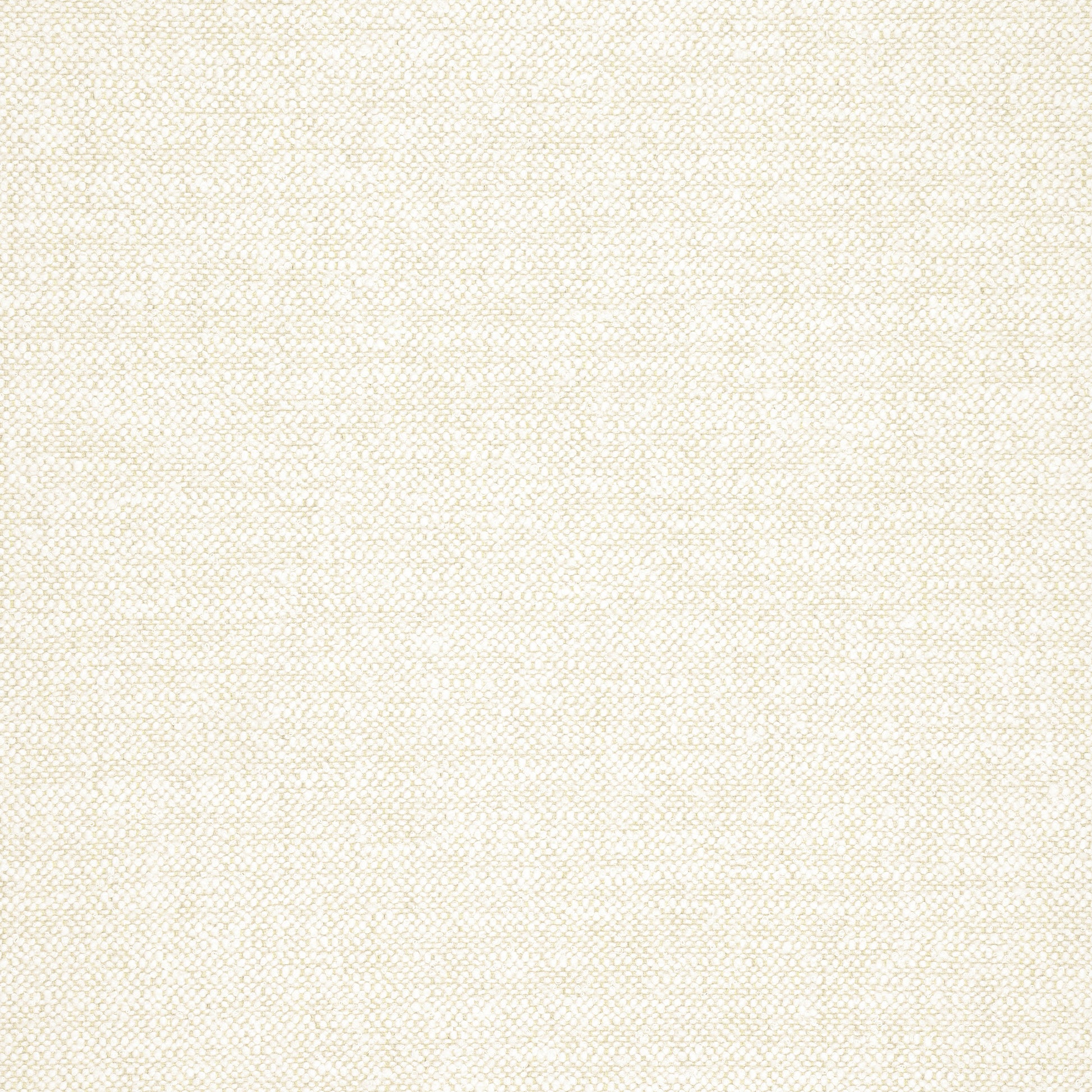 Purchase Thibaut Fabric SKU# W77102 pattern name Sasso color Sand