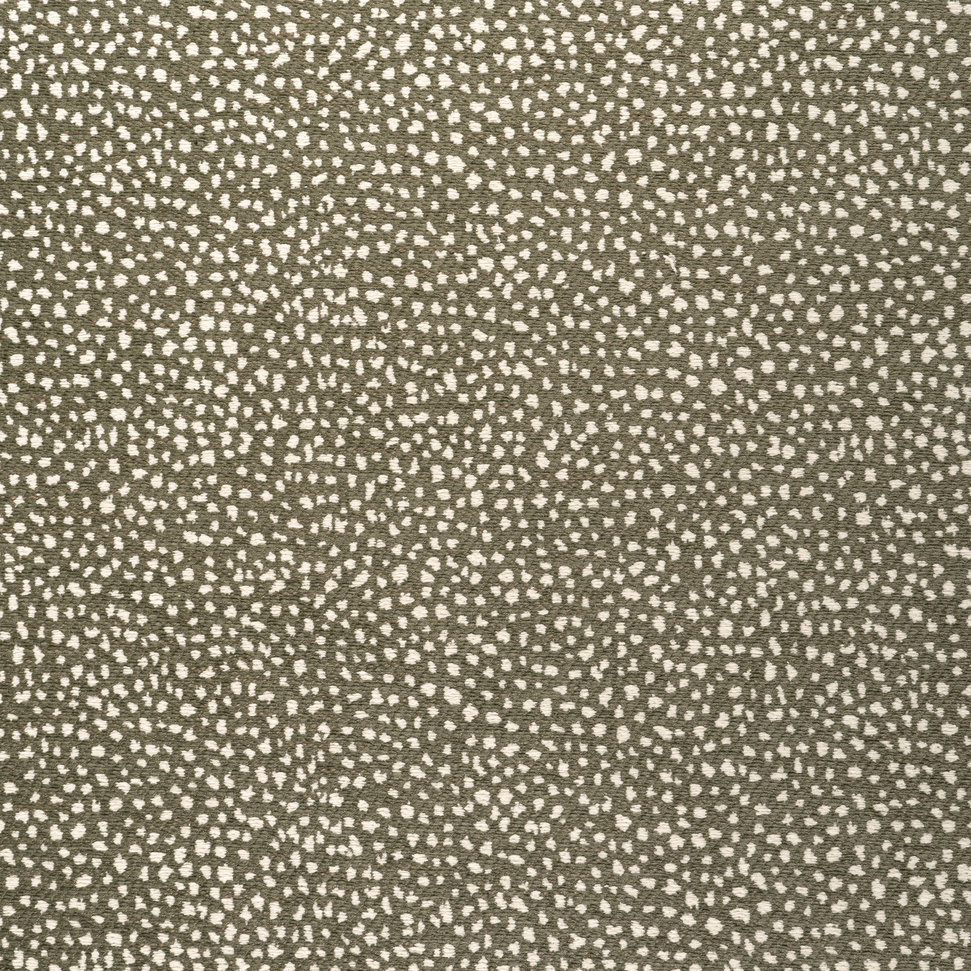 Purchase Thibaut Fabric Pattern number W78349 pattern name Fawn color Brown