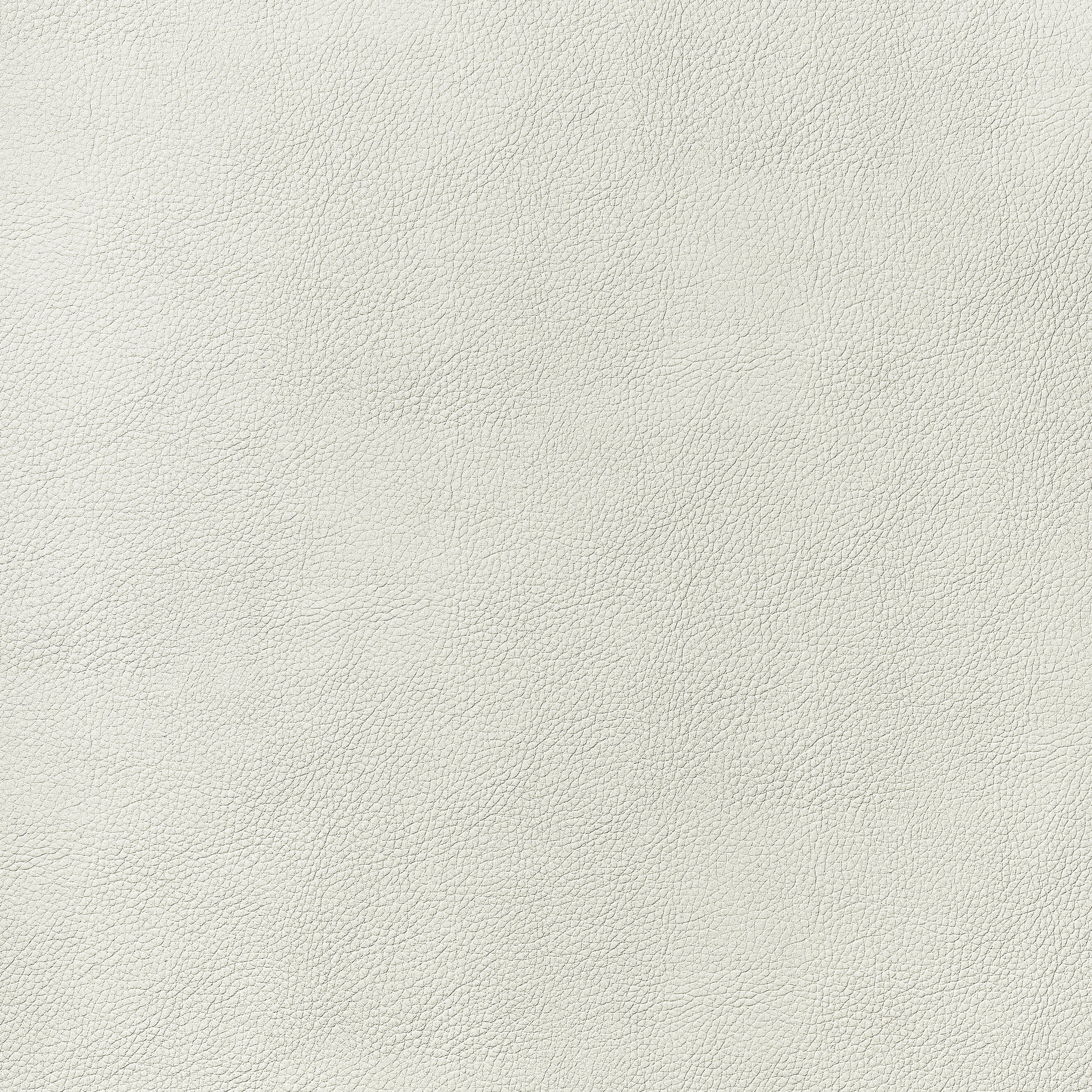Purchase Thibaut Fabric Item W78381 pattern name Arcata color Ivory