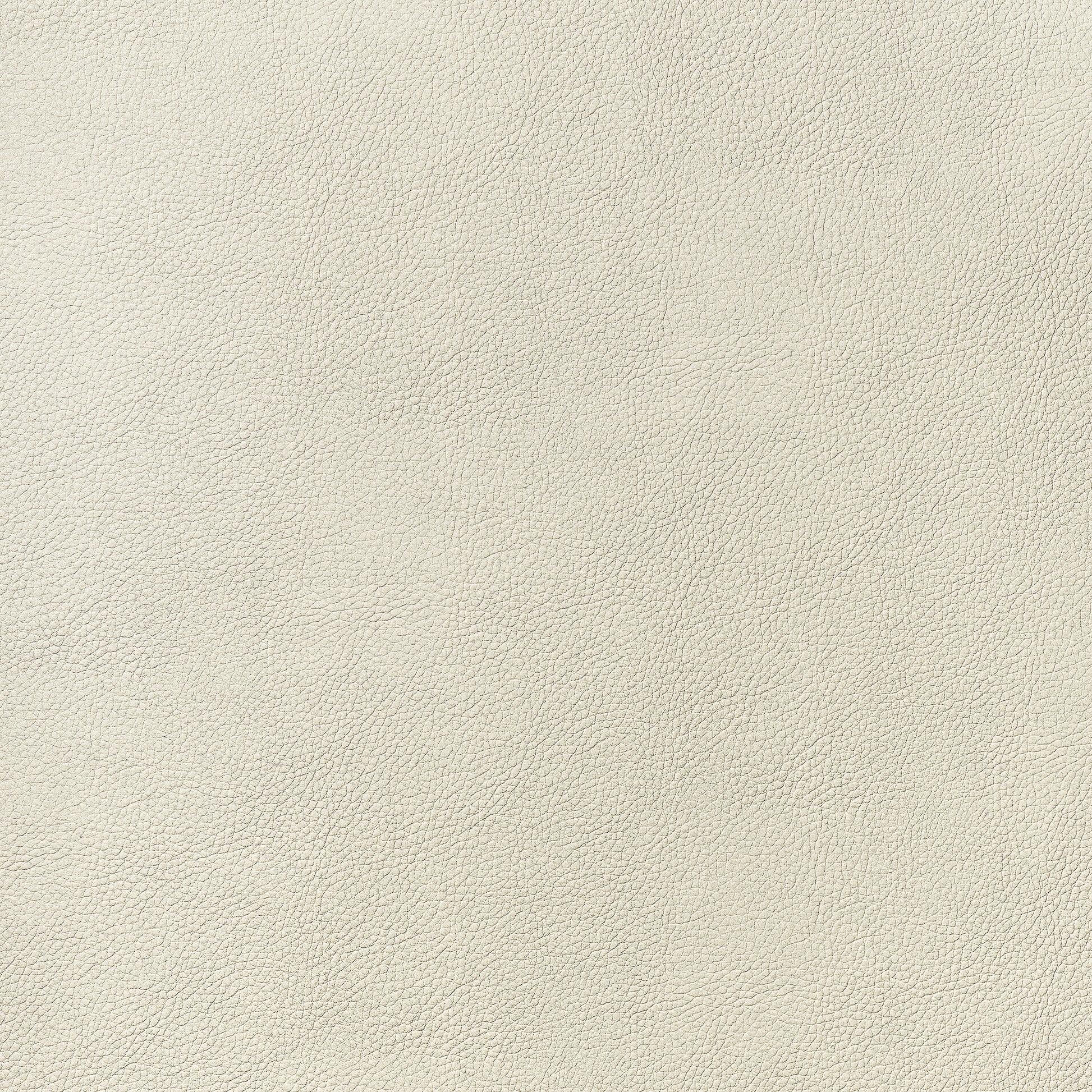 Purchase Thibaut Fabric Item# W78382 pattern name Arcata color Sand
