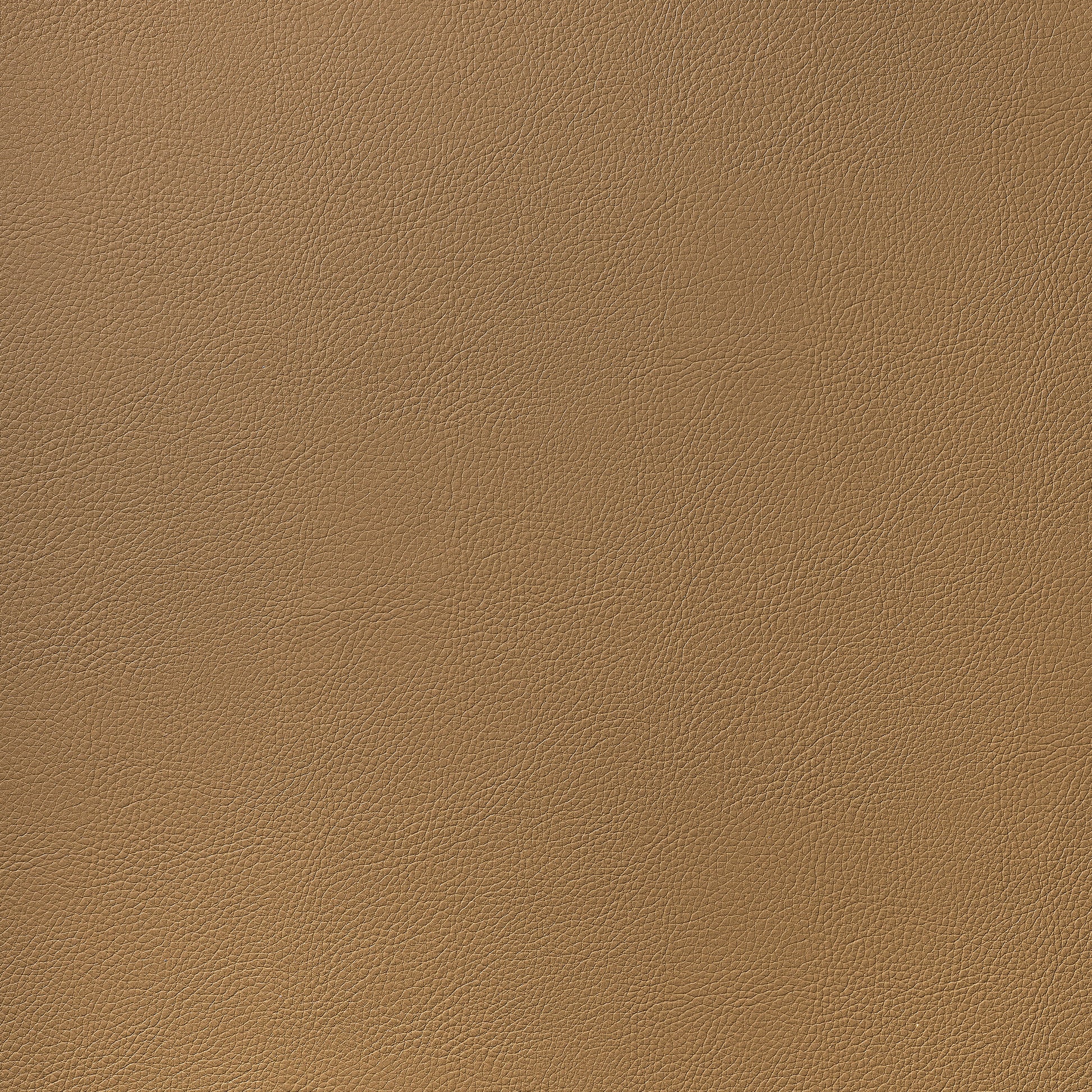 Purchase Thibaut Fabric Pattern# W78393 pattern name Arcata color Saddle