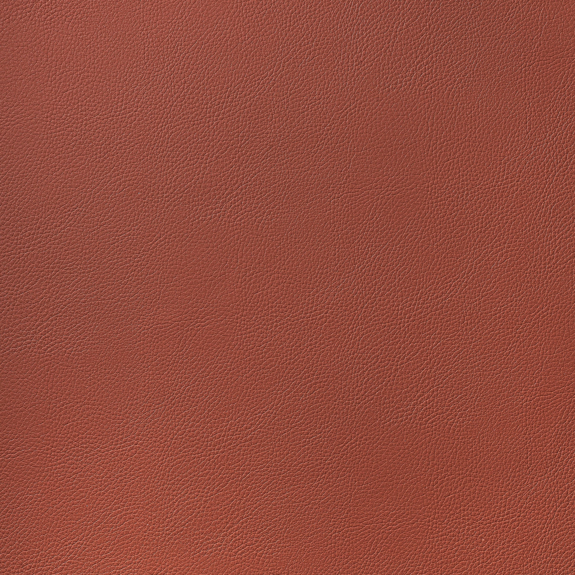 Purchase Thibaut Fabric Item# W78394 pattern name Arcata color Brick